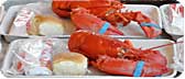 Maine Lobster Festival info