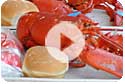 Maine Lobster Festival video