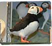 Project Puffin Visitor Center